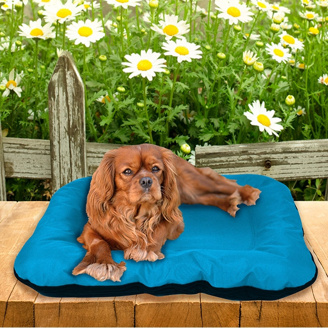 Dog Bed - Cama lavável para cão