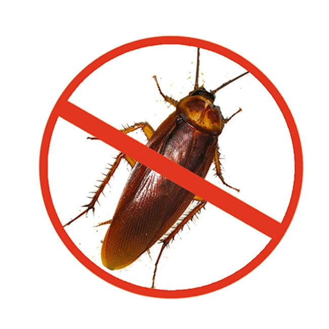 RoachRX - Inseticida para insetos rastejantes